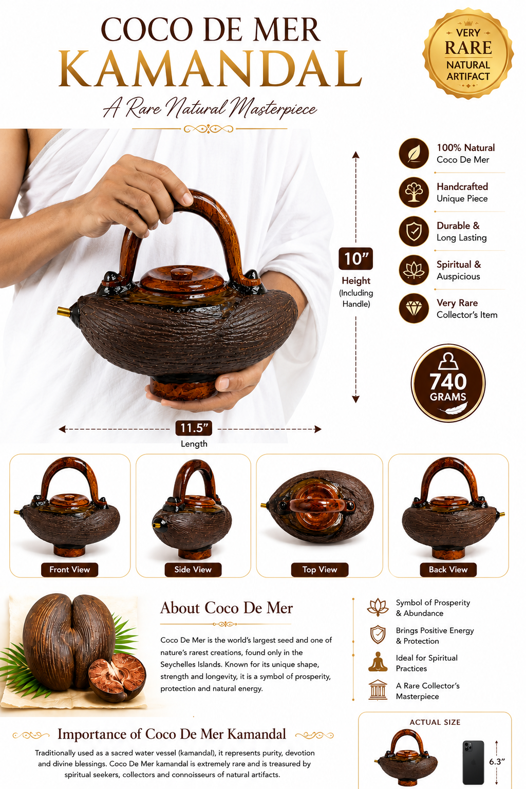 Coco De Mer kamandal water vessel in hands, dark brown seed shell with arched handle.