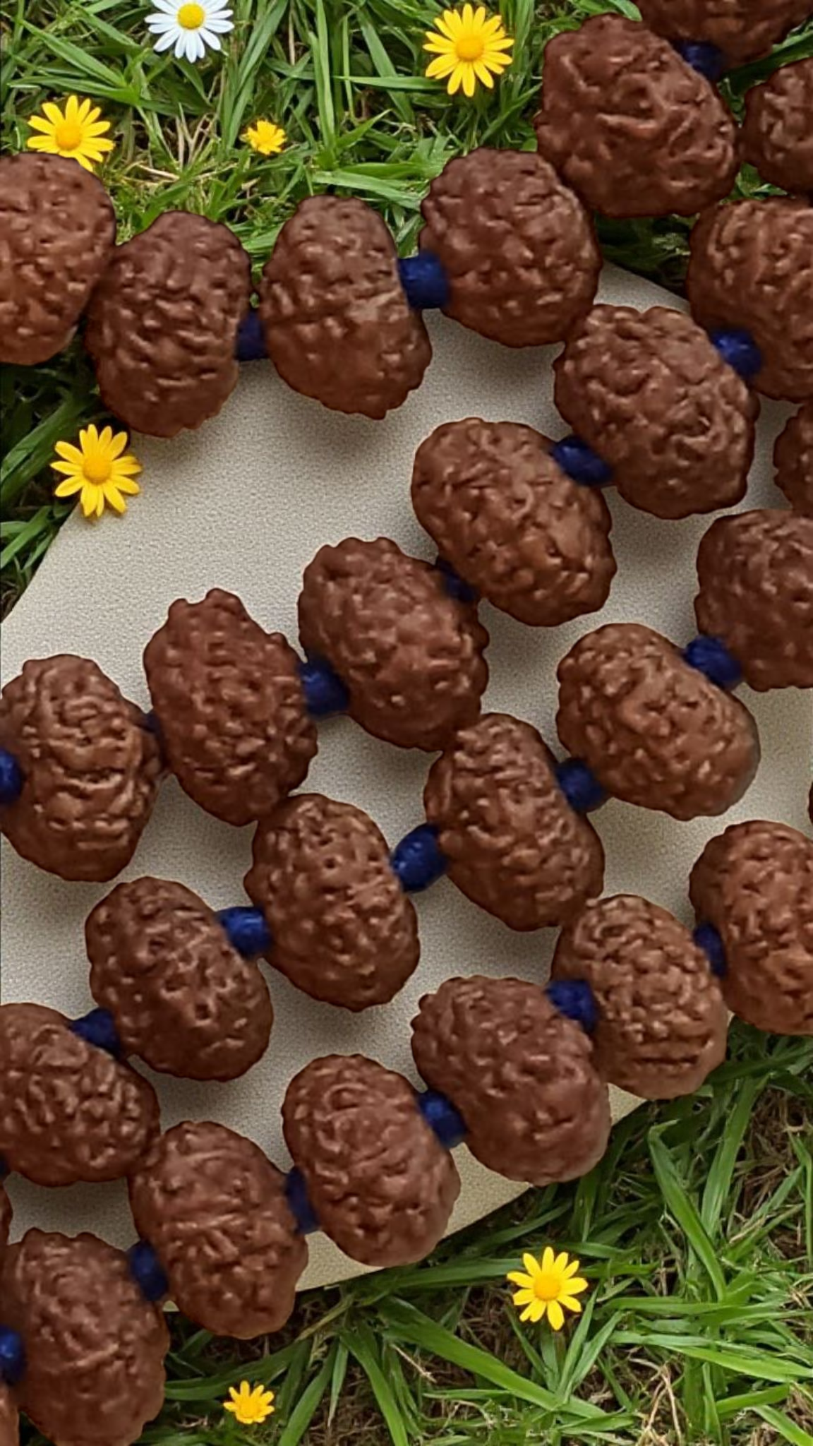 Close-up of brown rudraksha beads with blue spacer knots
