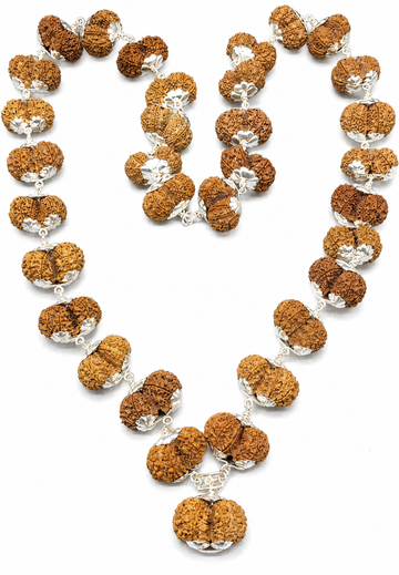 Gauri Shankar rudraksha silver mala with carved brown beads and white metal links