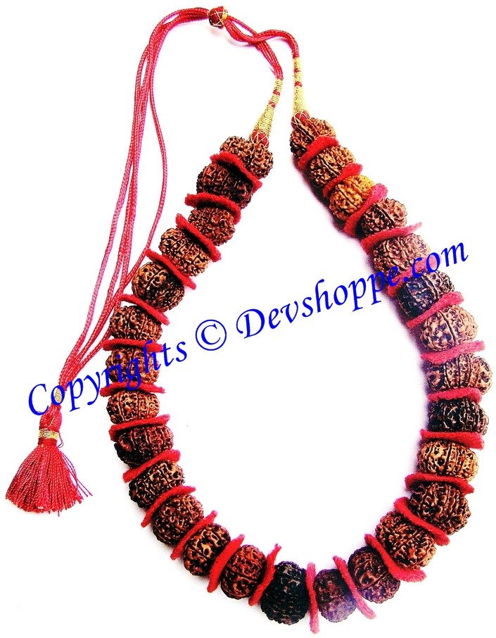 Natural Rudraksha mala with 10 mukhi beads, red braided cord and tassels