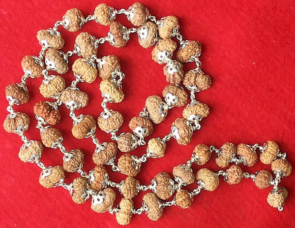 14 Mukhi Javanese Rudraksha Mala - Natural Fourteen Faced Beads