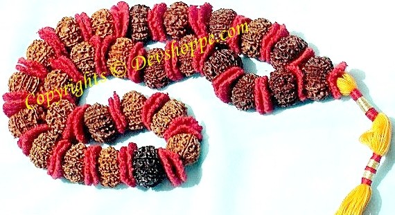 Natural 9 Mukhi rudraksha mala with red and dark brown beads and tassel