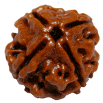Four Faced Rudraksha bead (Char Mukhi), dark brown carved surface