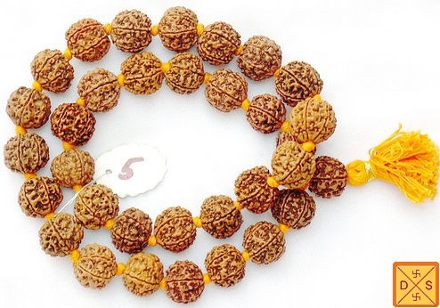 32+1 Five mukhi bead mala, 18-22 mm rudraksha beads with knots, tassel