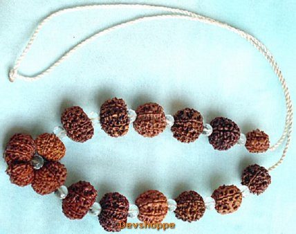 Rudraksha Siddhar Mala - 2 to 14 Mukhi with Gauri Shankar, Ganesha & Crystal Beads