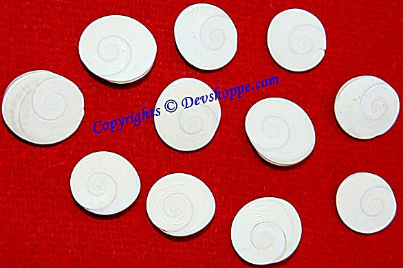 Set of 11 premium quality Gomati Chakras - Devshoppe