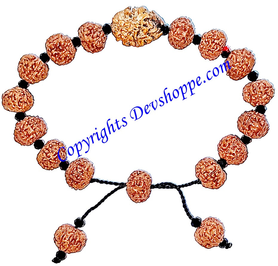 7 & 2 mukhi Rudraksha bracelet, red-brown beads with glass spacers