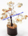 Gomti Chakra tree for Goodluck and Positive energy - Devshoppe