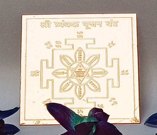 Shri Tryambak pujan yantra on copper plate - Devshoppe