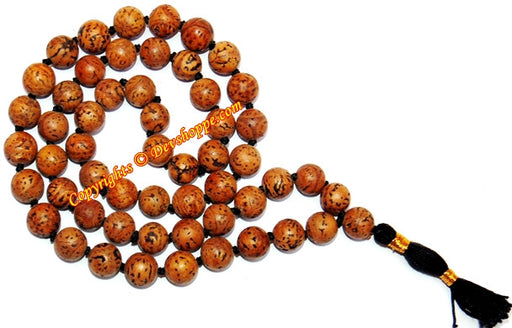 Kaya kalp mala for removal of evil thoughts and energy - Devshoppe