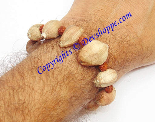 Laghu nariyal bracelet for prosperity and wealth - Devshoppe