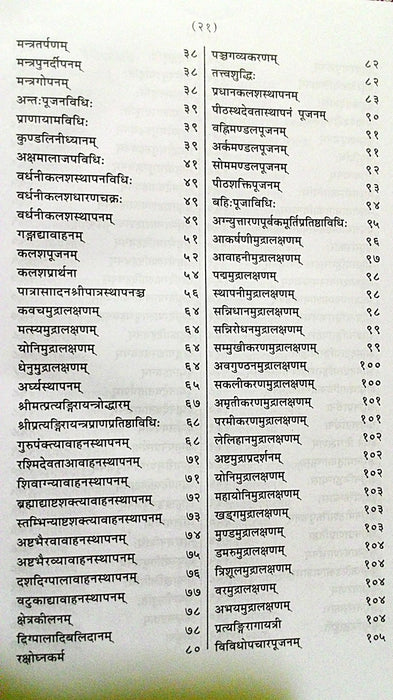 Sri Pratyangira Punashcharya - Devshoppe