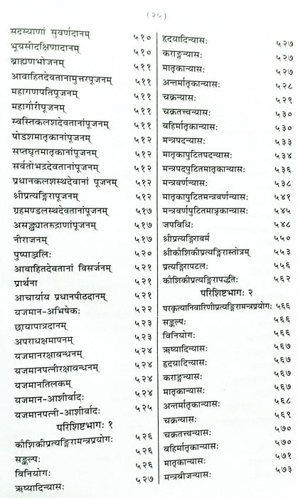 Sri Pratyangira Punashcharya - Devshoppe