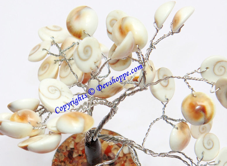Gomti Chakra tree for Goodluck and Positive energy - Devshoppe
