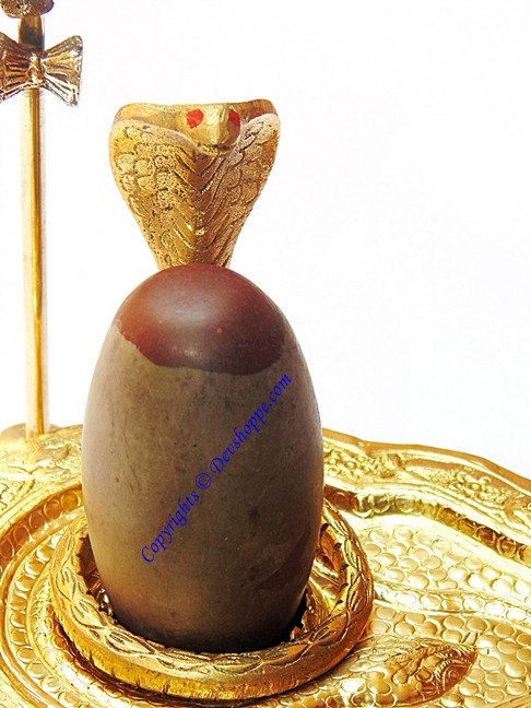 Mahakal (Mahakaal)  lingam replica jalheri with Narmadeshwar linga - Devshoppe
