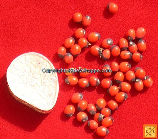 Red Chirmi Beads in Silver Box -  Very Rare Lucky Charm - Devshoppe