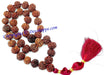 7 mukhi (Seven faced) rudraksha mala , 36+1 beads of nepali origin - Devshoppe