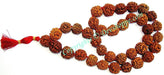 Rudraksha 4 mukhi (four faced) Rudraksha mala of 36+1 beads - Ordinary Quality - Devshoppe