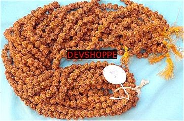 Rudraksha Malas Wholesale Deal 8 mm and 10 mm malas - Devshoppe