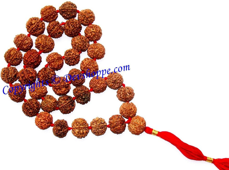 Rudraksha six faced (6 mukhi) rudraksha mala of 36+1 beads - Ordinary quality - Devshoppe
