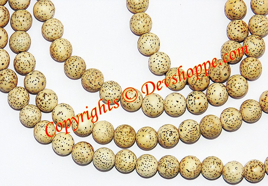 Tibetan Buddhist Xing-Yue (Xingyue) Bodhi Seed Prayer Beads Necklace Mala - Devshoppe