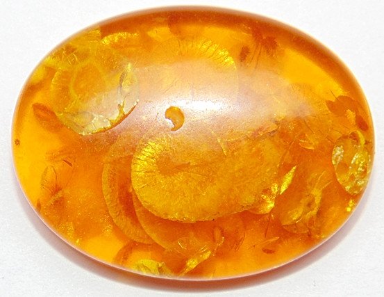 33.70 Cts. Lab Certified Natural Golden Honey Baltic Amber Cabochon