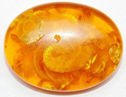 33.70 Cts. Lab Certified Natural Golden Honey Baltic Amber Cabochon - Devshoppe