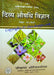 Divya aushadhi vigyan - Book on ayurvedic herbs and remedies - Devshoppe