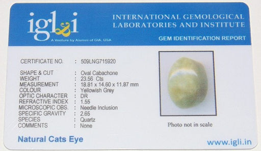 IGLI certified Natural Yellowish Grey Cat's eye (Lehsunia) 23.56 carats - Devshoppe