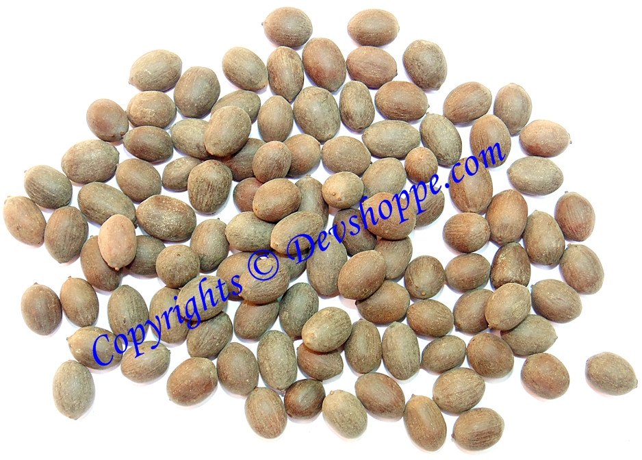 Kamal Gatta (Lotus seeds) for Maa Laxmi puja and homa - 500 grams pack - Devshoppe