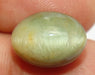 Lab Certified Natural Cat's eye Gemstone (Lehsunia) 17.17 carats - Devshoppe