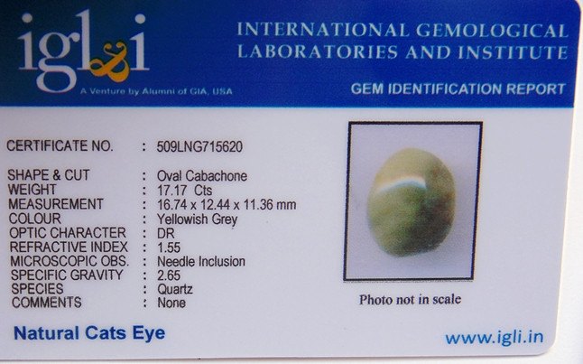 Lab Certified Natural Cat's eye Gemstone (Lehsunia) 17.17 carats - Devshoppe