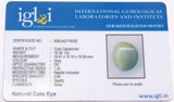 Lab Certified Natural Cat's eye gemstone (Lehsunia) 18.39 Carat - Devshoppe
