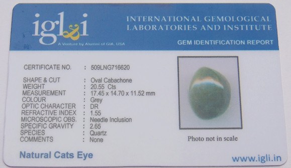Lab Certified Natural Cat's eye Gemstone (Lehsunia) 20.55 Carat - Devshoppe