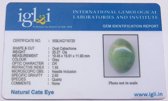 Lab Certified Natural Cat's eye gemstone (Lehsunia) 25.27 Carat - Devshoppe