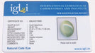 Lab Certified Natural Cat's eye Gemstone (Lehsunia) 29.20 Carats - Devshoppe