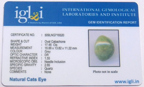 Lab Certified Natural Cat's eye gemstone (Lehsuniya) 17.46 Carat - Devshoppe