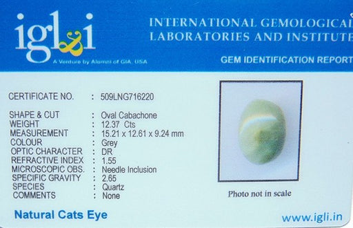 Lab Certified Natural Cats eye gemstone (Lehsunia) 12.37 Carats - Devshoppe