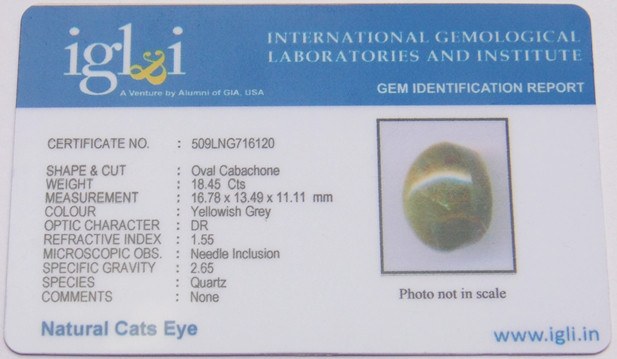 Lab Certified Natural Cats eye gemstone (Lehsunia) 18.45 Carat - Devshoppe