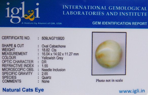 Lab Certified Natural Cats eye gemstone (Lehsunia) 18.82 carats - Devshoppe