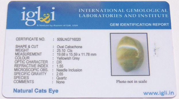 Lab Certified Natural Cats eye Gemstone (Lehsunia) 25.10 Carat - Devshoppe
