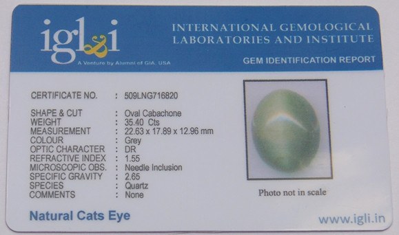 Lab Certified Natural Cats eye gemstone (Lehsunia) 35.40 carat - Devshoppe