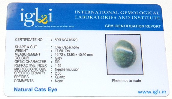 Lab Certified Natural Cats eye (Lehsunia) 17.60 carats - Devshoppe