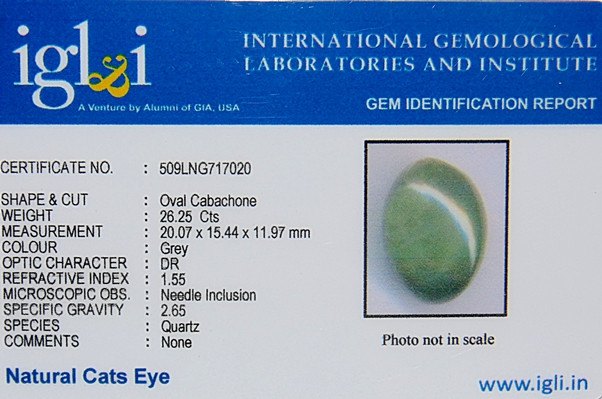 Lab Certified Natural Cats eye (Lehsunia) 26.25 Carats - Devshoppe