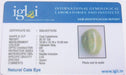 Lab Certified Natural Catseye Gemstone (Lehsuniya) 26.18 Carat - Devshoppe