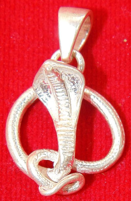 God Shiva's Naag (Snake) pendant in pure silver - Devshoppe