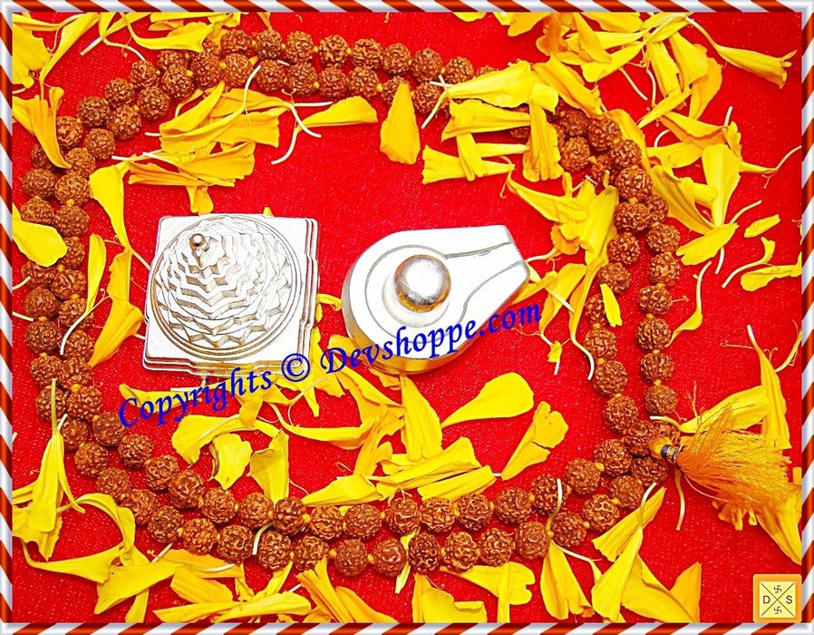 Combo deal 1 - Parad Sriyantra + Parad Shivlinga + Free Rudraksha mala - Devshoppe
