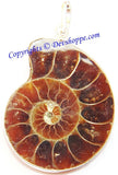 Beautiful Ammonite pendant in white metal - Devshoppe