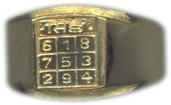 Simha (Leo) rashi / Rasi / Zodiac ring in Brass - Devshoppe