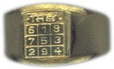 Simha (Leo) rashi / Rasi / Zodiac ring in Brass - Devshoppe